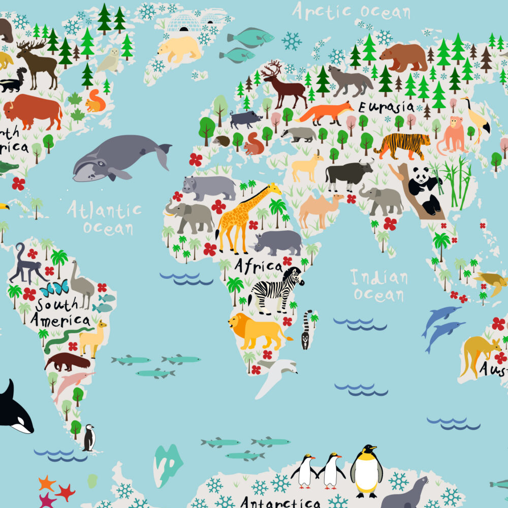 Children's world map