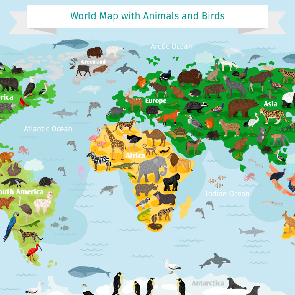 The animal map is brightly colored