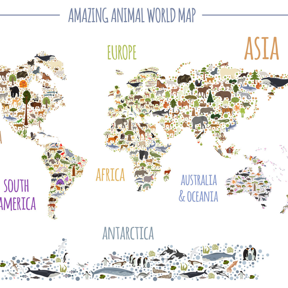 Map of flora and fauna