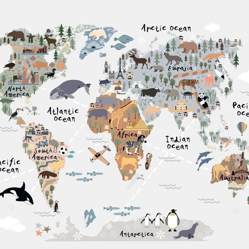 A fascinating map of the world