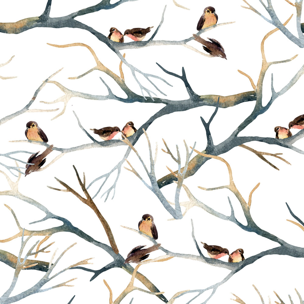 Birds on the branches