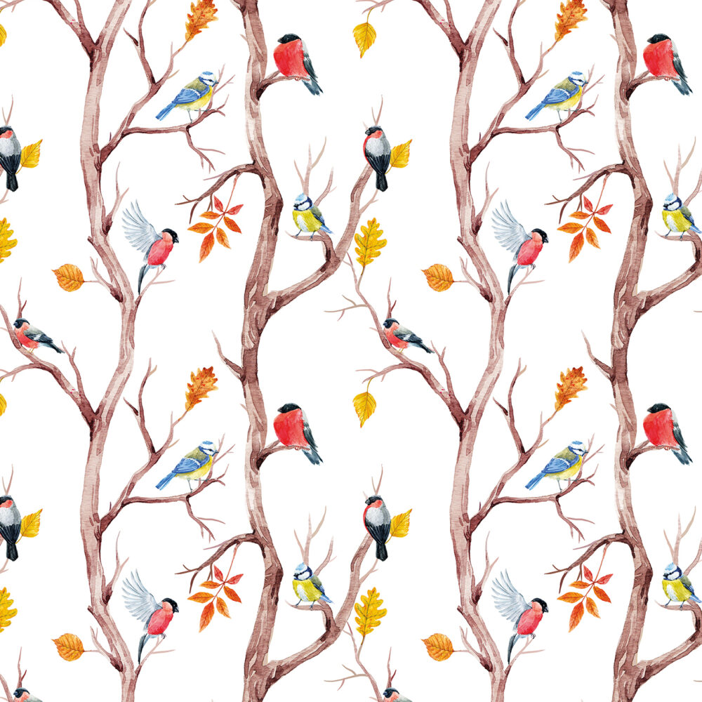 Bullfinches and boobs