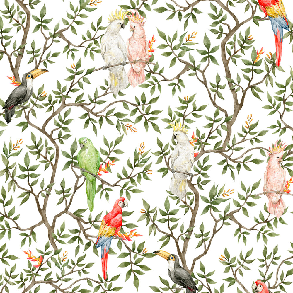 Parrots toucans on branches