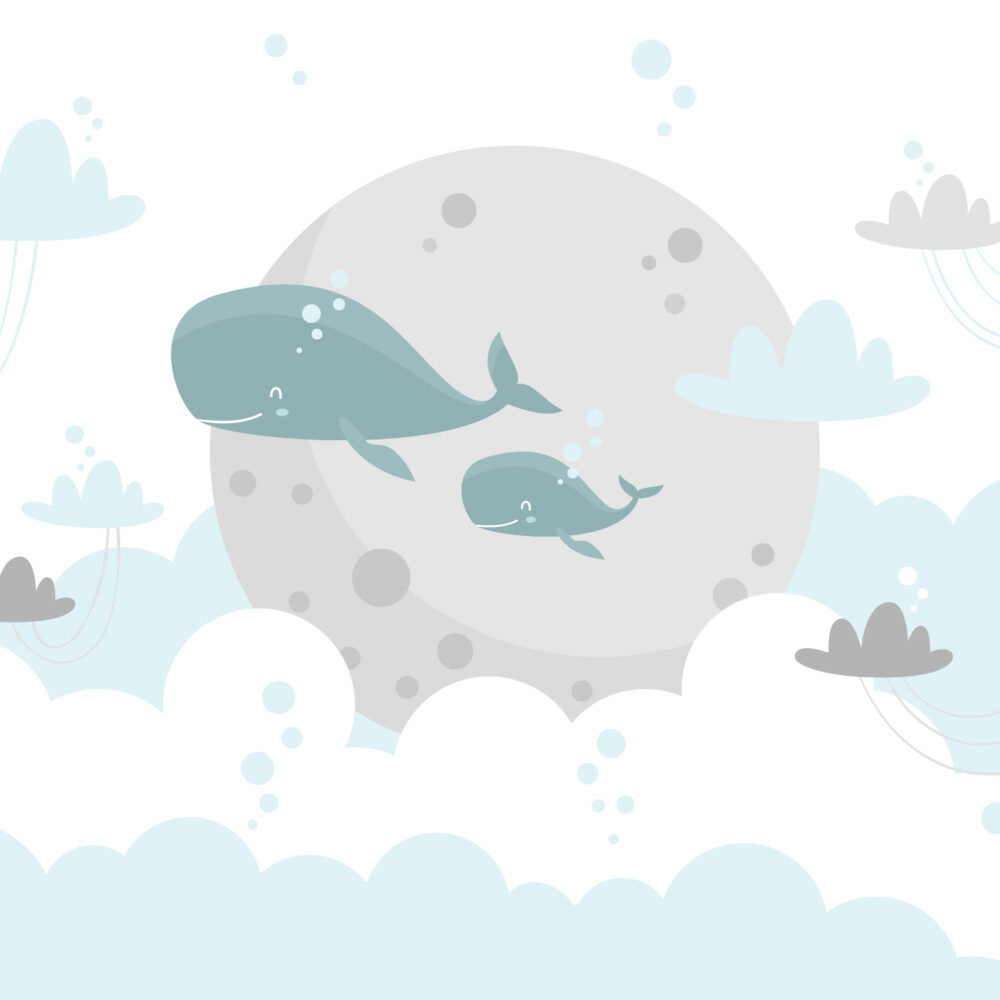 Whales and air castles
