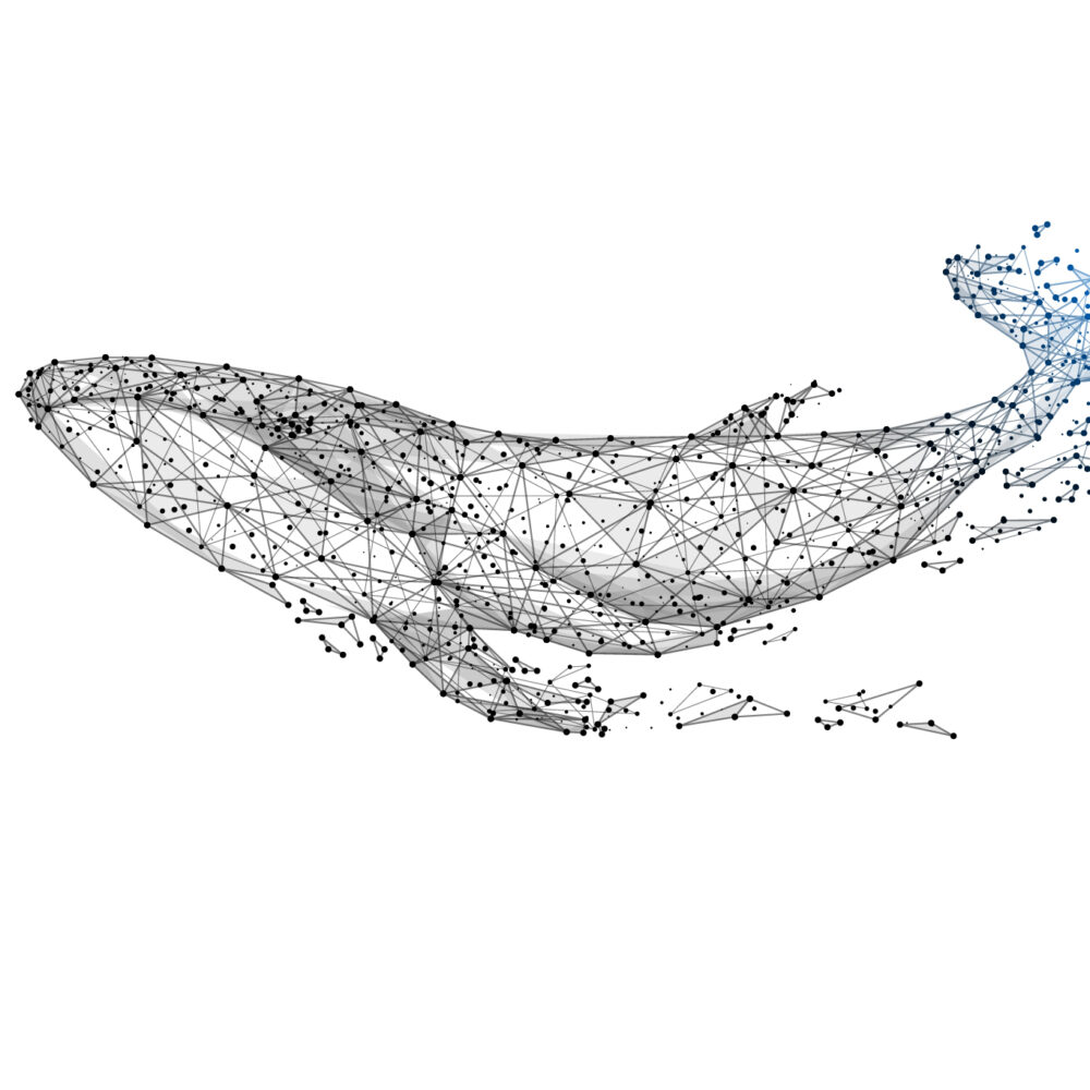 Polygonal drawing of a whale