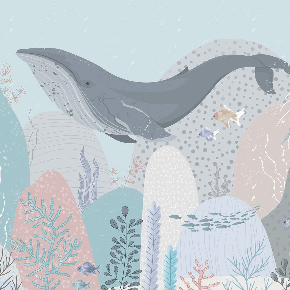 A whale in the ocean