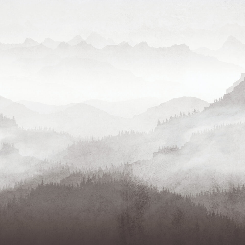 Mountains in the fog